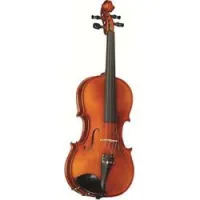 Strunal 16W 1/8 With Outfit  Скрипка студенческая в футляре, со смычком и аксессуарами