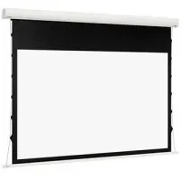 Экран Euroscreen Sesame Electric Video (4:3) 240*200cm (VA230*172,5)TabT Flexwhite case white