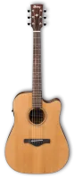 IBANEZ AW65ECE-LG