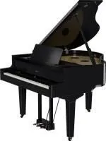 Roland Gp-9m-pe