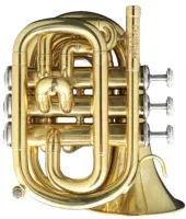 Мини-труба Bb CarolBrass CPT-1000-YSS-Bb-NL