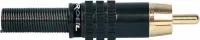 PROEL MRCA25BK - разъем RCA