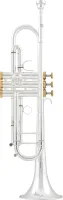 Arnoldsandsons atr-5600gs-terra  профессиональная, раструб томпак 120,65 мм, посеребренная, 11,68 мм