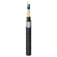 Belden FDSH0125G
