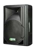 ECO by VOLTA P-10A Q Акустическая активная широкополосная система. Мощность (RMS) 150 Вт. Цвет черный.