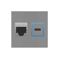 ABL 2T0210DC- Сдвоенный модуль подключения IMP 1xRJ45 Cat6A, USB-C, серый