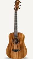 BT-e Koa