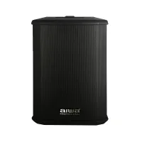 AIWA AX-1PRO- Портативная двухполосная активная акустическая система 6,5" с DSP-процессором и Bluetooth TWS, 100 Вт, 106 дБ SPL