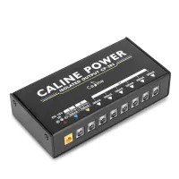 CALINE CP-202 - Блок питания