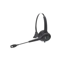 W300 защищенная, моно, 30м Bluetooth, от -20 до +50 град, 2 аккумулятора
