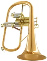 Флюгельгорн CarolBrass CFL-6200-RSS-Bb-L