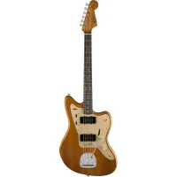 Fender Custom Shop 2017 ARTISAN TAZ BW JAZZMASTER Электрогитара