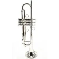 Brasspire BPTR-770S Труба Bb с реверсивным настроечным кроном, мензура: 11,65 мм (ML), диаметр раструба: 125 мм, серебряное покрытие всего инструмента, в комплекте: полужесткий кейс, мундштук 7С.