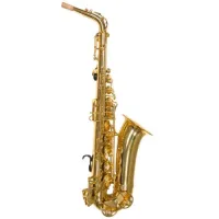 Альт саксофон Trevor James Alphasax 371A ученический для детей