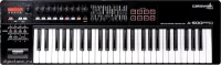 ROLAND A-500PRO-R - MIDI-клавиатура