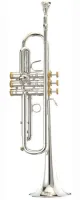 Trumpet Bb Stomvi Classica 5048 - Professional Bb trumpet with dense dark timbre that blends well with other instruments of a symphony orchestra.