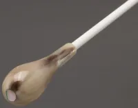Conductor's baton Takt TB-C922 - 15 inch conductor's baton with pear-shaped horn handle with mother-of-pearl dot and carbon fiber stick