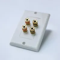 CVGAUDIO WSP02 - Двухканальный настенный декоративный кабельный вывод для спикерного кабеля (акустическая розетка)