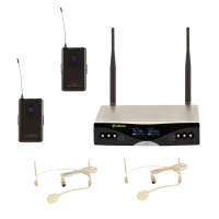 Radiowave UHS-402S радиосистема с 2 головными микрофонами телесного цвета
