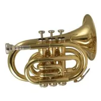 Wisemann DPT-400S  труба Bb Pocket, серебряное покрытие
