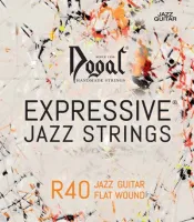 Jazz guitar string set Dogal R40D - Steel tops and bass with flat chrome steel wound round core for a long-scale guitar. Medium tension, thickness .012-.052 inch.