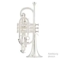 Arnoldsandsons acr-4220-terra sale  корнет bb стандартный, раструб желтая латунь 118,5мм, мензура 11,4