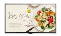 Уценка Профессиональный дисплей LG [55SM5KE-B]