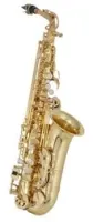 Buffet bc8101-1-0 100 series  саксофон альт eb ученический, лак золото, кейс рюкзак