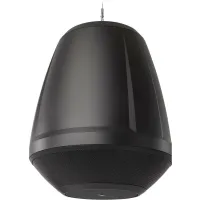 AD-P.HALO-BK / Подвесная акустическая система 6.5" сабвуфер + 4 x 2.75" сателлит, черный / QSC