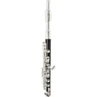 Arnoldsandsons apc-107  флейта-пикколо, корпус abs