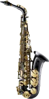 Саксофон-альт Forestone GX Black FSA-GXBK
