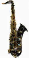 Tenor saxophone Artemis RTS-112 - Tenor saxophone with black nickel-plated body and gilded keywork. Picture doesn't match