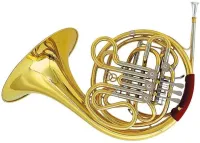 ROY BENSON HR-501 - Валторна