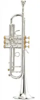 Trumpet Bb Stomvi Elite 5333 250-L - Professiona L Bb trumpet with L bore and standard mouthpipe. Rich dark timbre, precise intonation and good projection.