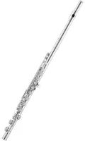 Flute Aidis 203B - Flute with Y-shaped cups, split E mechanism and closed keys. Silver-plated head and body, C-footjoint.
