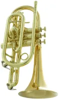 Корнет Bb CarolBrass CCR-6880-GLS-Bb-L
