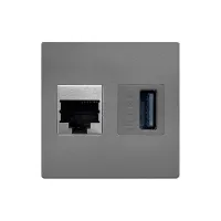 ABL 2T0210DU- Сдвоенный модуль подключения IMP 1xRJ45 Cat6A, 1xUSB 3.0, серый