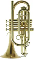 Корнет Bb CarolBrass CCR-3880-GSS-Bb-L-LH