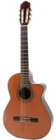 Электрифицированная гитара Raimundo 660MIDI Cedar