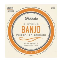 EJ55 Комплект струн для 5-струнного банджо, фосф.бронза, Medium, 10-23, D'Addario
