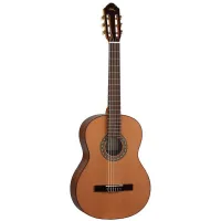 C1 CEDAR