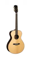 Parkwood P880-WCASE-NAT - Электроакустические гитары
