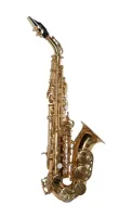 PC-SSC-310GL Pierre Cesar сопрано-саксофон Bb, изог., Yellow brass, лак, рег.механика, доп. клапаны F и верхний F#, кнопки перламутр, пласт.жесткий кейс, мундштук, лигатура, колпачок, тряпочка, гайтан