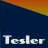 TESLER / Россия