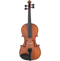 Комплект скрипичный Scherl and Roth Galliard 4/4