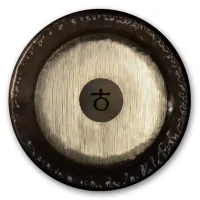 0223381630 PG81630 Planet Gong F2 Platonic Year Гонг 30", Paiste