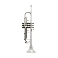 Besson BE110-2-0 NEW STANDARD  труба Bb, 2х частный латунный раструб руч ковки, 11.68/123, серебро