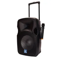 Direct Power Technology APS-12