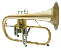 Флюгельгорн CarolBrass CFL-6200-RSS-Bb-NL
