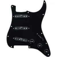 Seymour Duncan STK-S10PGD YJM Fury PG Assy Black  Комплект звукоснимателей в сборе